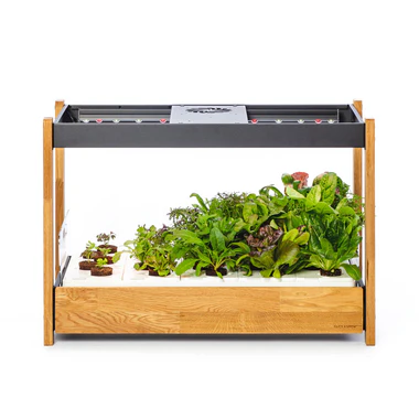 When Your Plants Get Smarter Than You: The Rise of AI-Powered Gardening in 2026