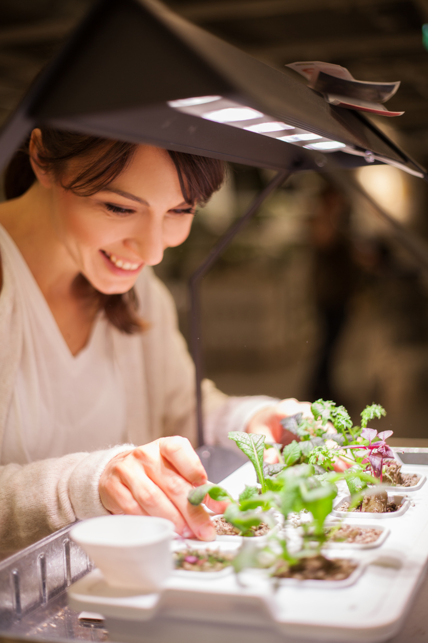 Smart Garden Showdown 2026: Gardyn vs Click & Grow 25 vs LG tiiun vs Plantcube